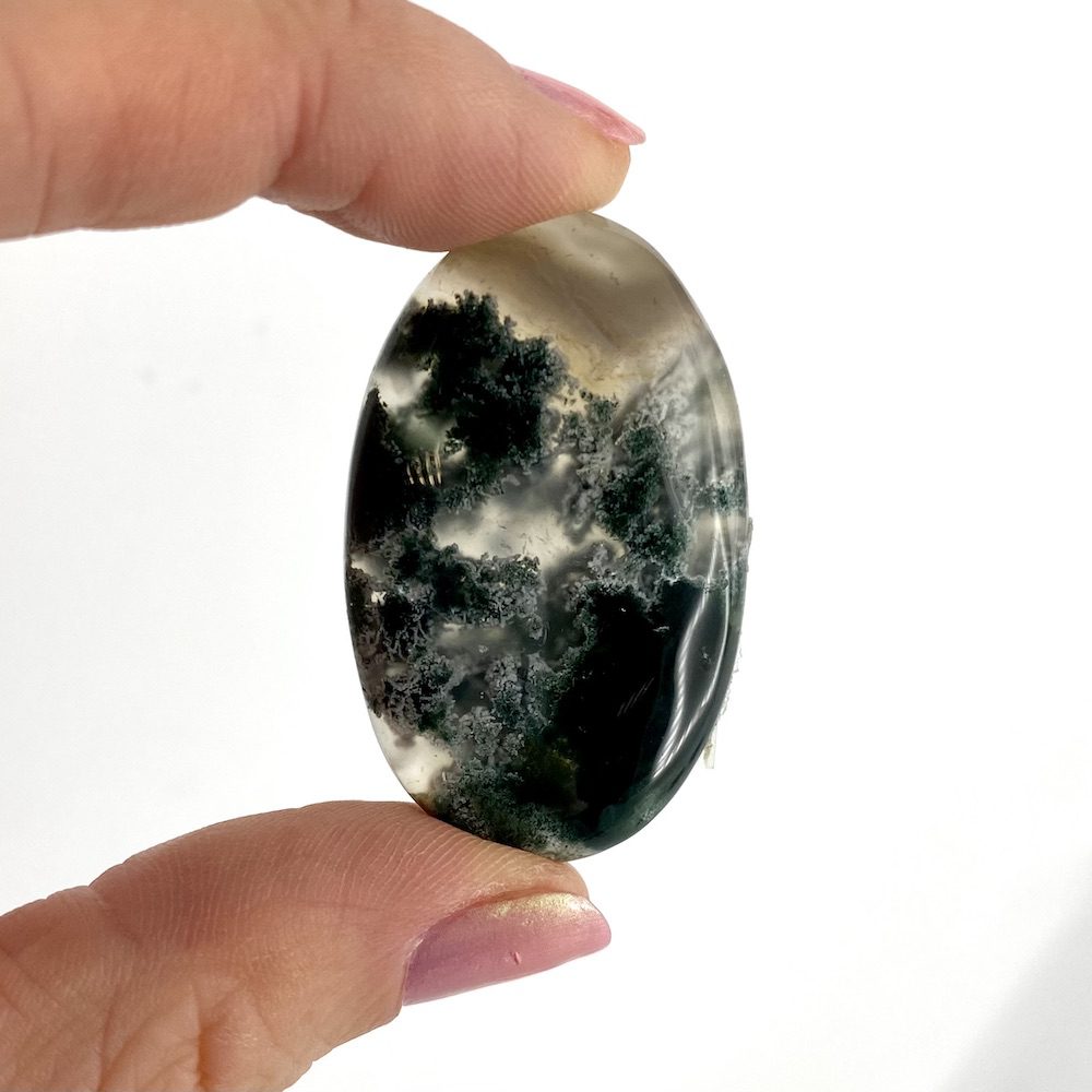 Tree Agate Mixed Shape Cabochon Approx 35 - 40mm