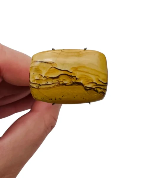 American Picture Jasper "Gemmologist's Pick" Cabochon Approx 25 - 35mm