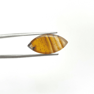 Montana Agate Marquise Cabochon Approx 20 x 12mm