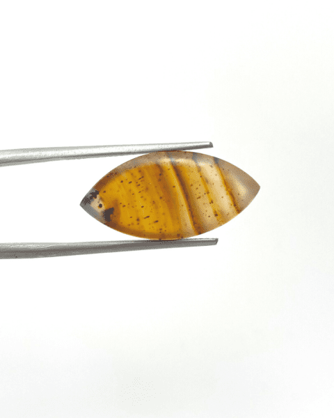 Montana Agate Marquise Cabochon Approx 20 x 12mm