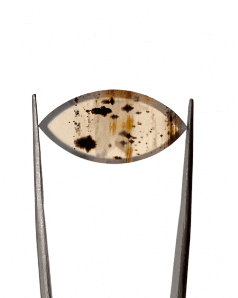 Montana Agate Marquise Cabochon Approx 30 x 15mm