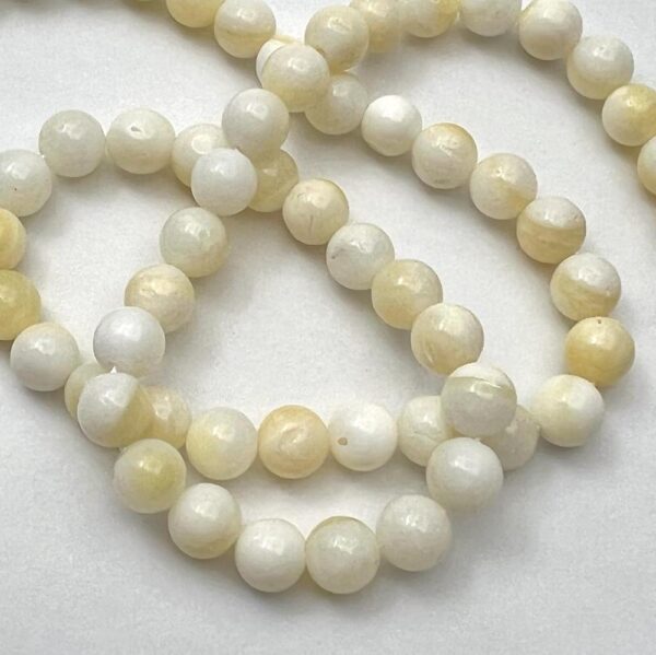 Yellow Shell Smooth Round Approx 6mm Beads Approx