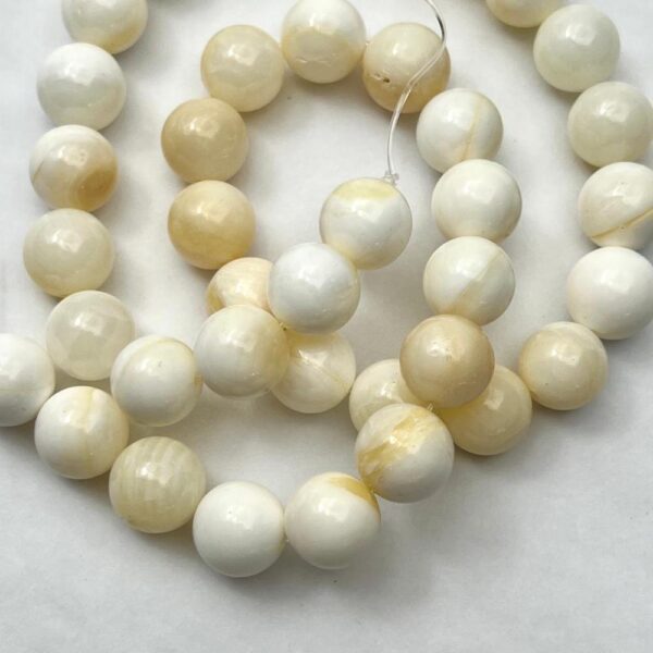 Yellow Shell Smooth Round Approx 10mm Beads Approx 38cm Strand