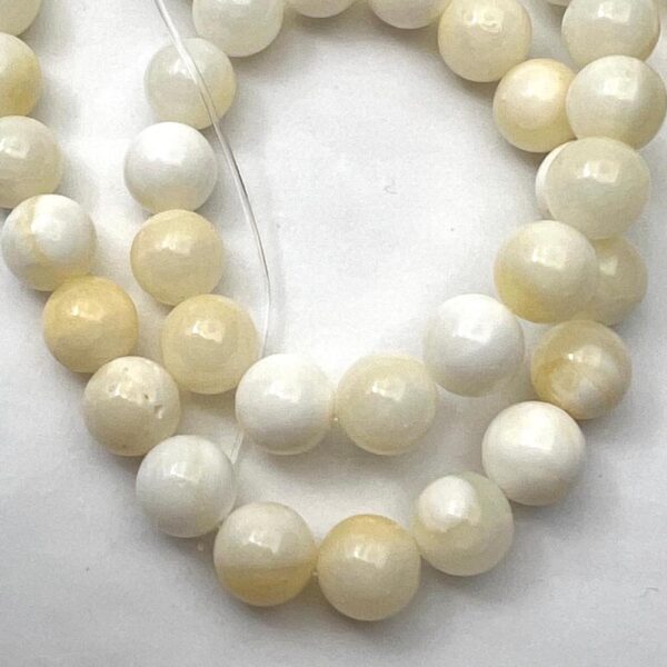 Yellow Shell Smooth Round Approx 8mm Beads Approx 38cm Strand