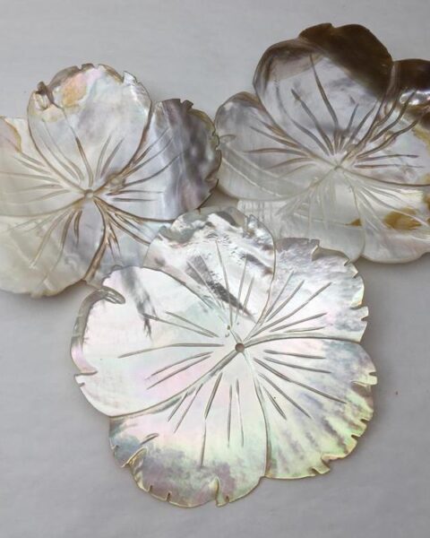 Carved Shell Flower with Centre Drill Hole Approx 10cm 1pc