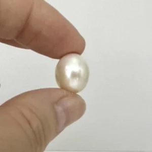 Freshwater Cultured Cream Oval Pearl Approx 14 x 12mm 1pc Half Drilled
