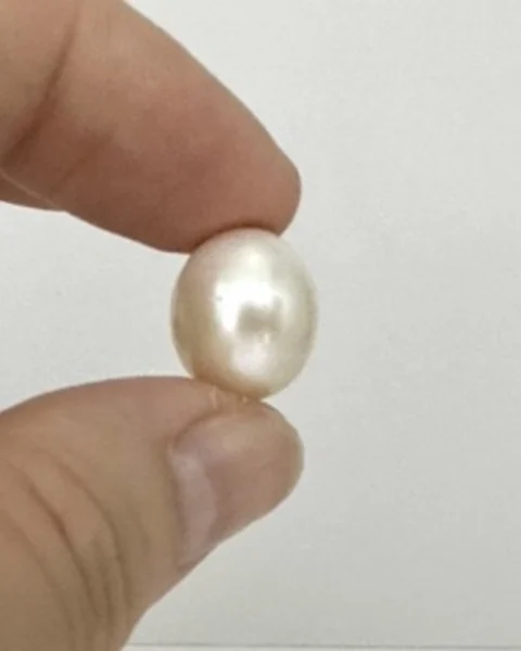 Freshwater Cultured Cream Oval Pearl Approx 14 x 12mm 1pc Half Drilled