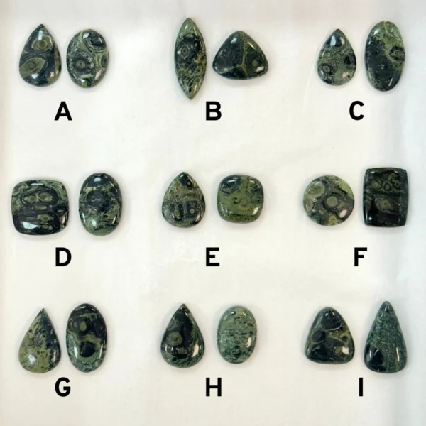 Kambaba Jasper Mixed Shape Cabochons 2pcs - Select Your Own - Image 3