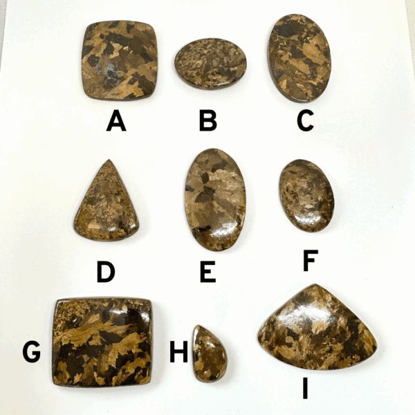 Bronzite Cabochons Mixed Sizes - Select your own - Image 2