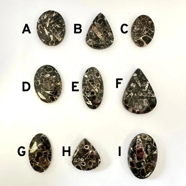 Turtella Agate Cabochons Mixed Sizes - Select your own - Image 3