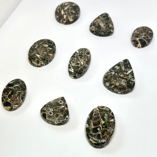 Turtella Agate Cabochons Mixed Sizes - Select your own - Image 2