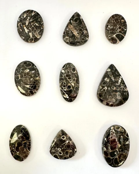 Turtella Agate Cabochons Mixed Sizes - Select your own