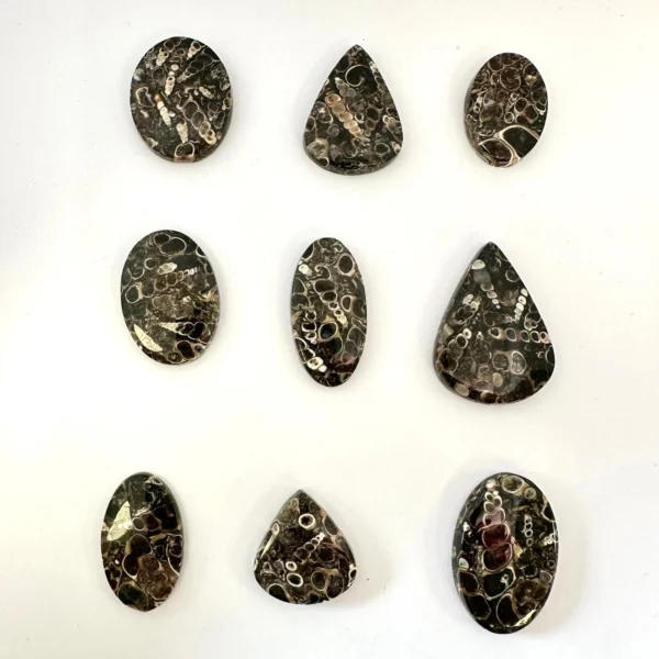 Turtella Agate Cabochons Mixed Sizes - Select your own