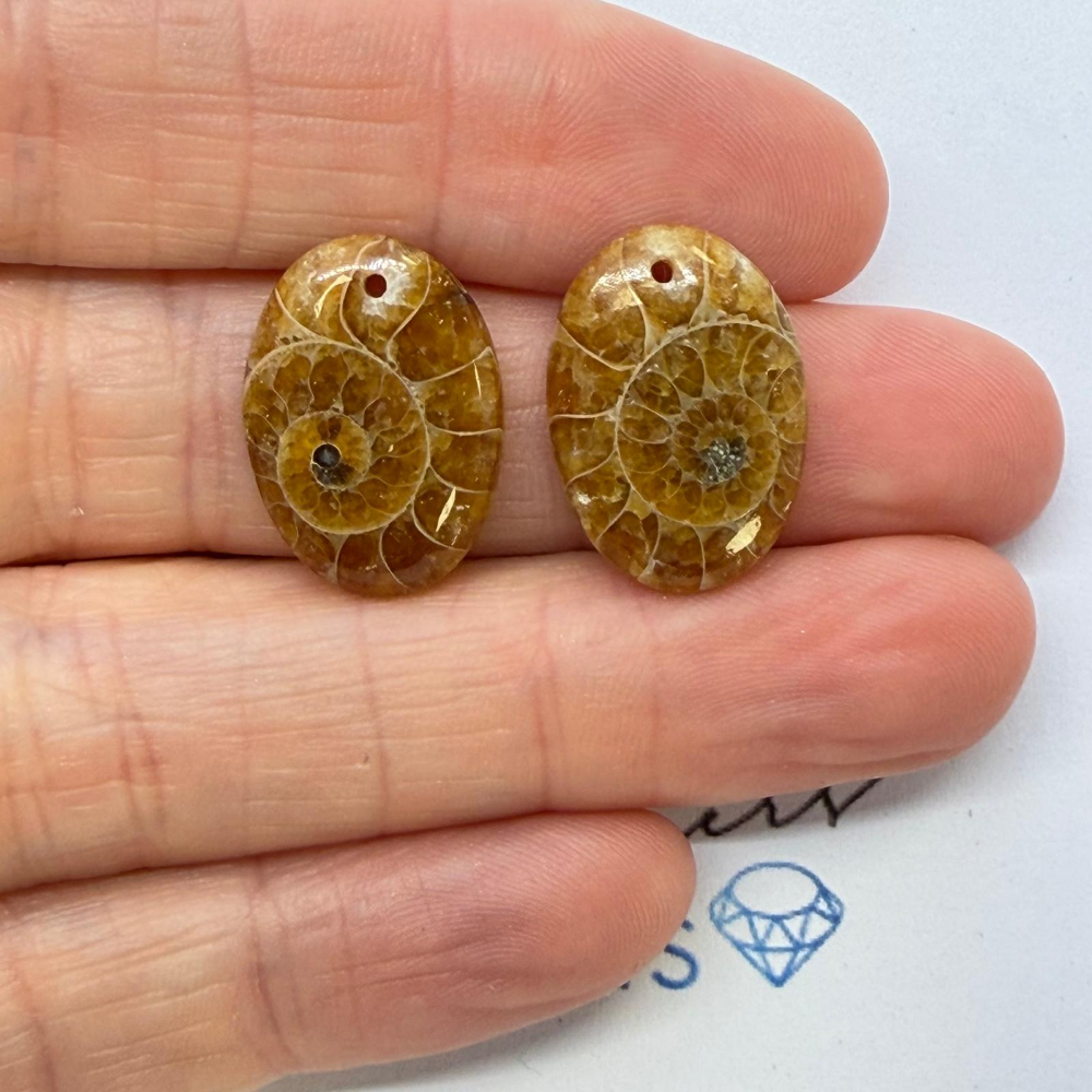 Ammonite Mixed Shape Cabochons Approx 15-25mm Drilled Pair - Image 2