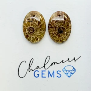 Ammonite Mixed Shape Cabochons Approx 15-25mm Drilled Pair