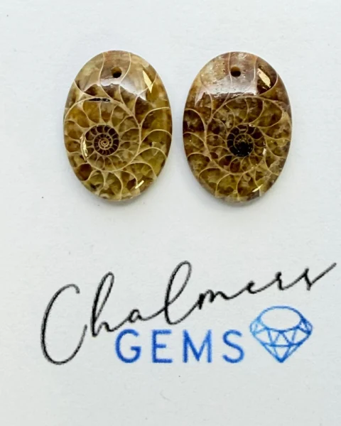 Ammonite Mixed Shape Cabochons Approx 15-25mm Drilled Pair