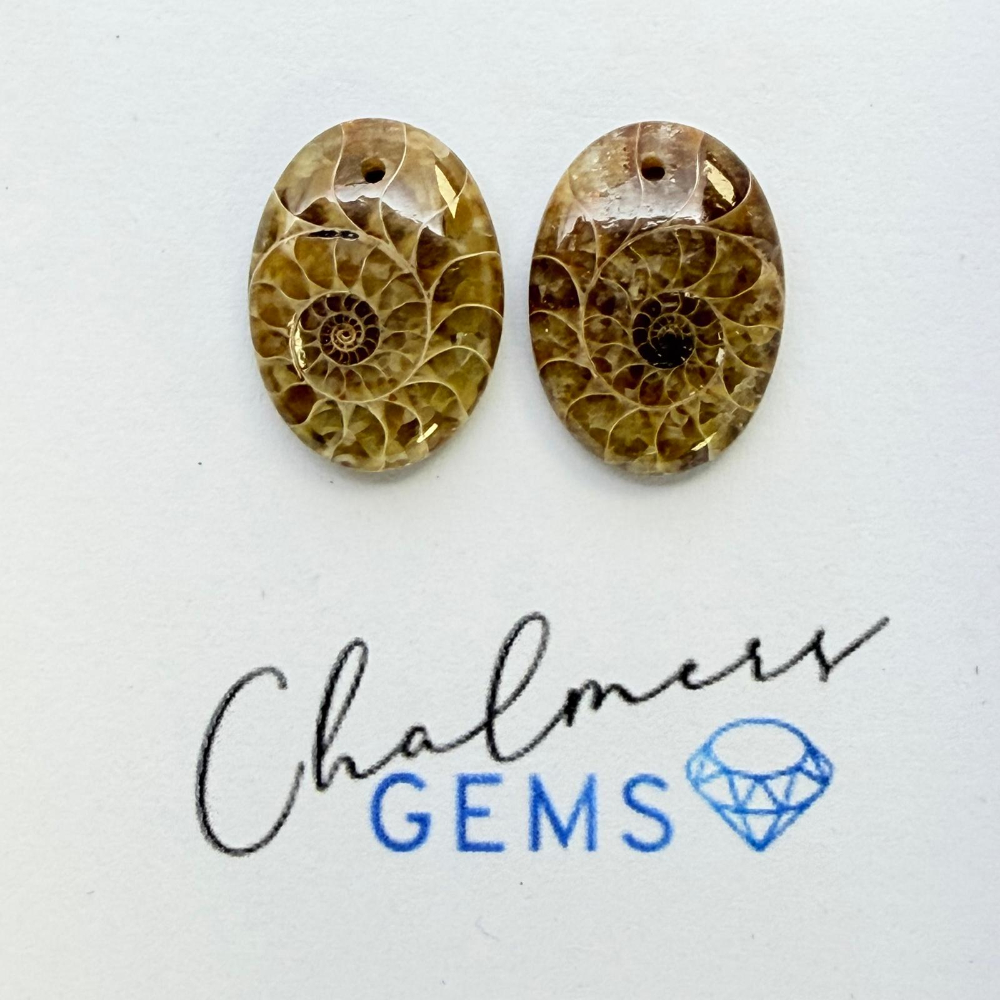 Ammonite Mixed Shape Cabochons Approx 15-25mm Drilled Pair