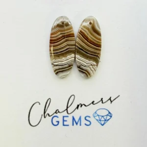 Petrified Wood Mixed Shape Cabochons Approx 15 -25mm Drilled Pair