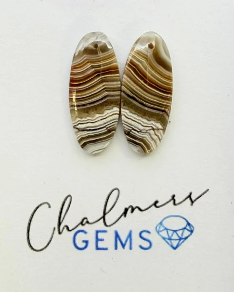 Petrified Wood Mixed Shape Cabochons Approx 15 -25mm Drilled Pair