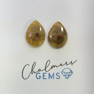 Ammonite Mixed Shape Cabochons Approx 15 -25mm Pair