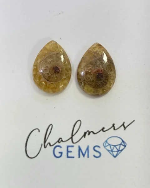 Ammonite Mixed Shape Cabochons Approx 15 -25mm Pair