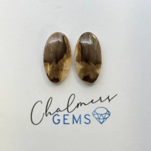 Petrified Wood Mixed Shape Cabochons Approx 15 -25mm Pair