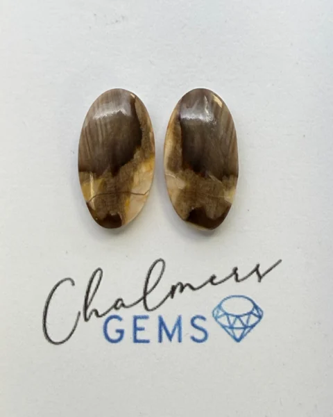 Petrified Wood Mixed Shape Cabochons Approx 15 -25mm Pair