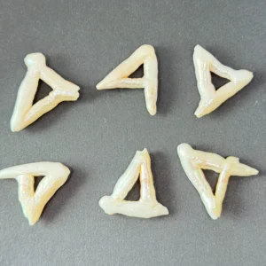 Fresh Water Cultured White Metalic Stick Pearl Triangular Shape Approx 25mm Bead 1pc